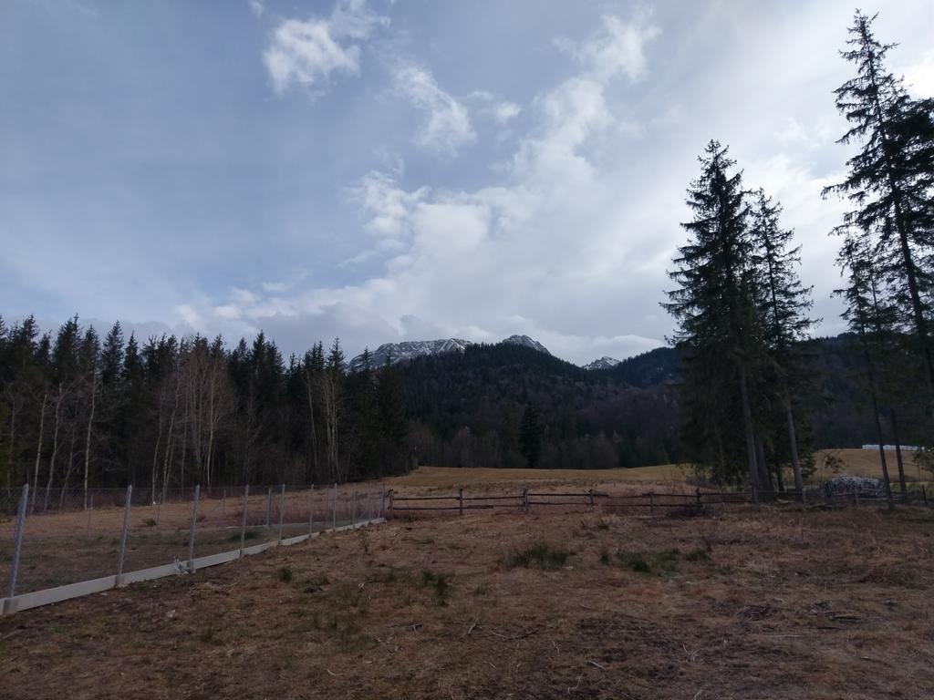 Apartamencik Z Widokiem Na Giewont Zakopane Dış mekan fotoğraf