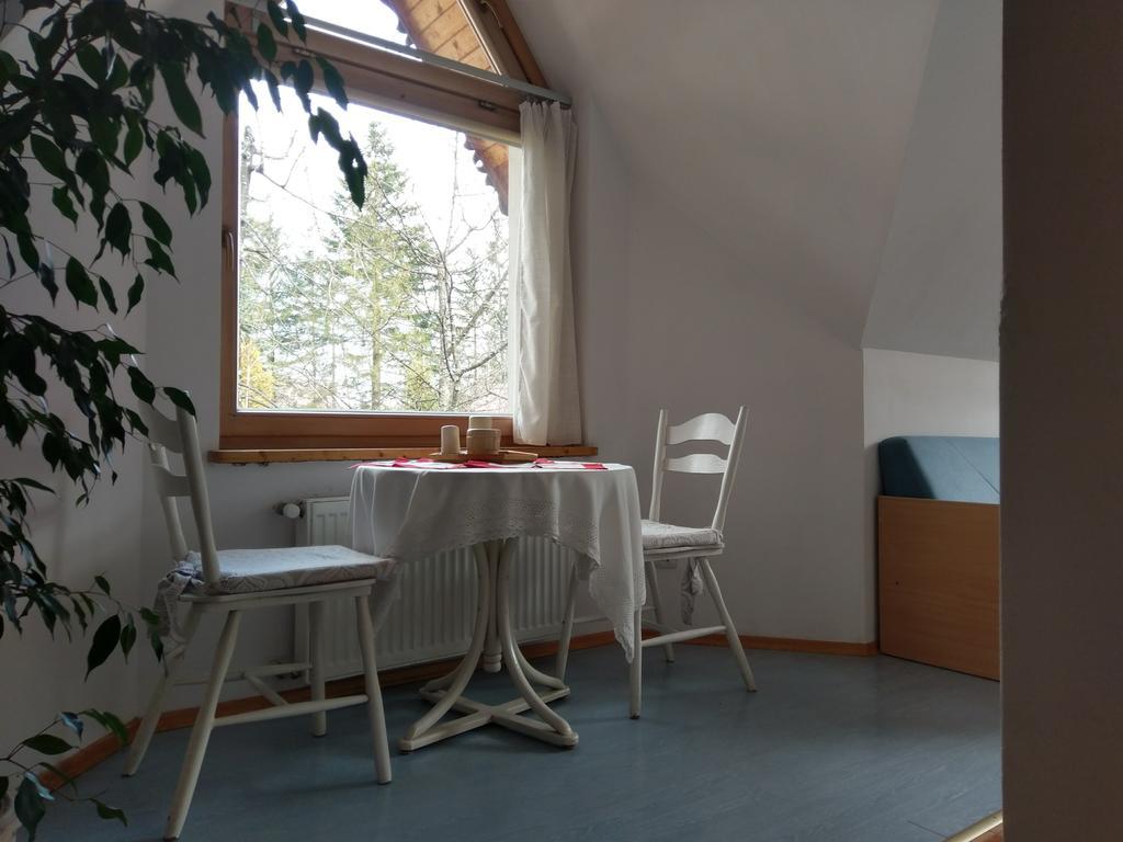 Apartamencik Z Widokiem Na Giewont Zakopane Dış mekan fotoğraf
