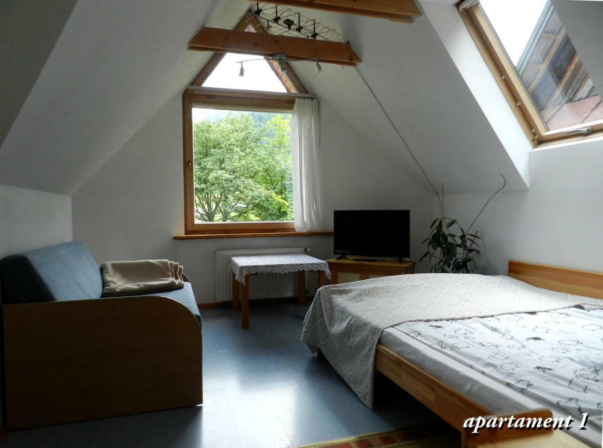 Apartamencik Z Widokiem Na Giewont Zakopane Dış mekan fotoğraf